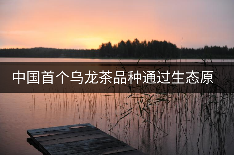 中國首個烏龍茶品種通過生態(tài)原產(chǎn)地產(chǎn)品保護現(xiàn)場評定 中國首個烏龍茶品種通過生態(tài)原產(chǎn)地產(chǎn)品保護現(xiàn)場評定