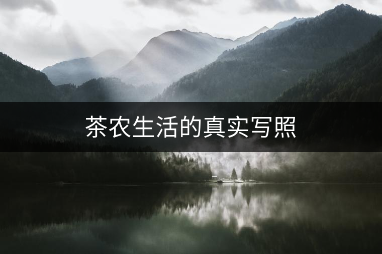 茶農(nóng)生活的真實(shí)寫照 茶農(nóng)生活的真實(shí)寫照