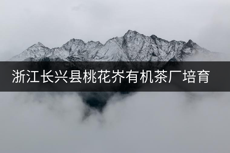 浙江長(zhǎng)興縣桃花岕有機(jī)茶廠培育紫筍金茶獲成功 浙江長(zhǎng)興縣桃花岕有機(jī)茶廠培育紫筍金茶獲成功