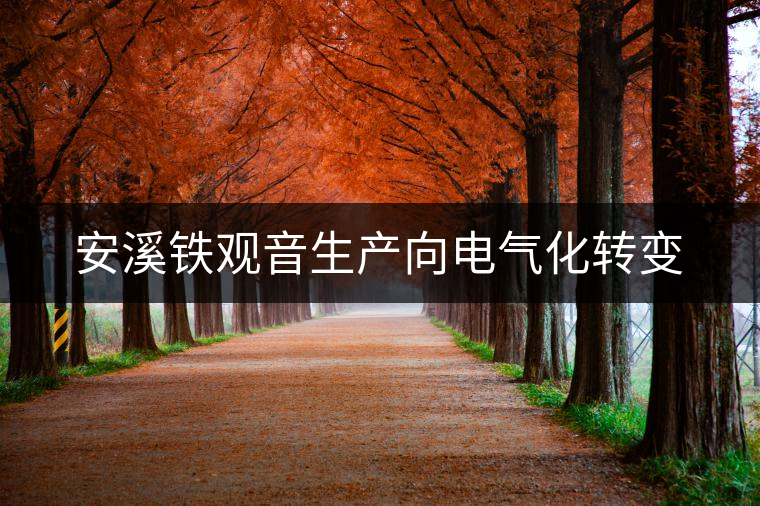安溪鐵觀音生產(chǎn)向電氣化轉(zhuǎn)變 安溪鐵觀音生產(chǎn)向電氣化轉(zhuǎn)變