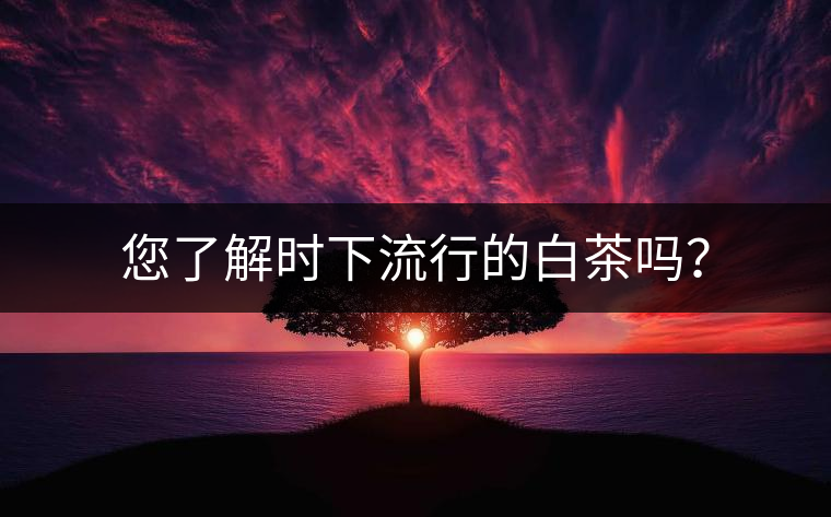 您了解時下流行的白茶嗎？