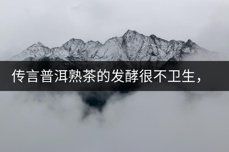 傳言普洱熟茶的發(fā)酵很不衛(wèi)生，是真的嗎？