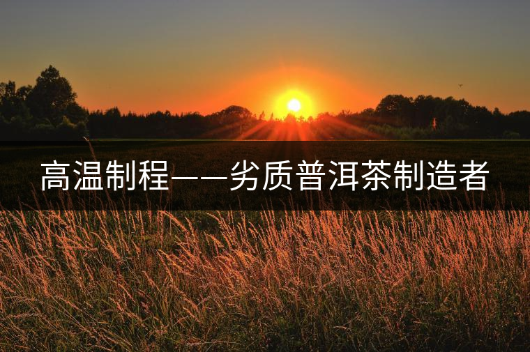 高溫制程——劣質(zhì)普洱茶制造者 高溫制程——劣質(zhì)普洱茶制造者