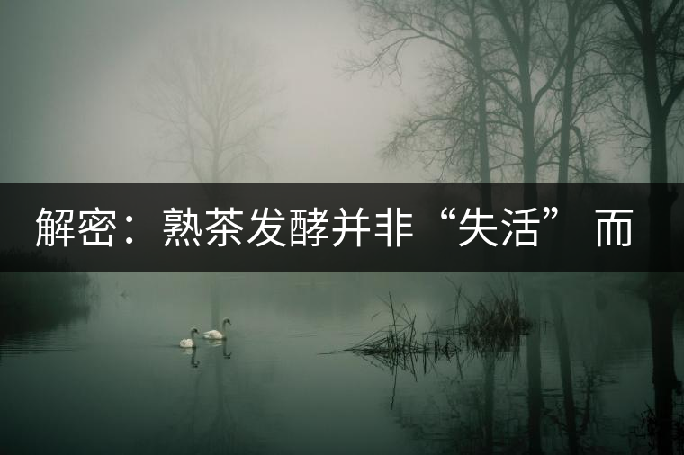 解密：熟茶發(fā)酵并非“失活” 而是涅槃后的“重生”