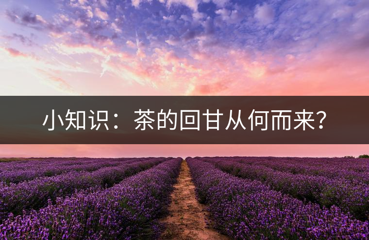 小知識(shí)：茶的回甘從何而來(lái)？