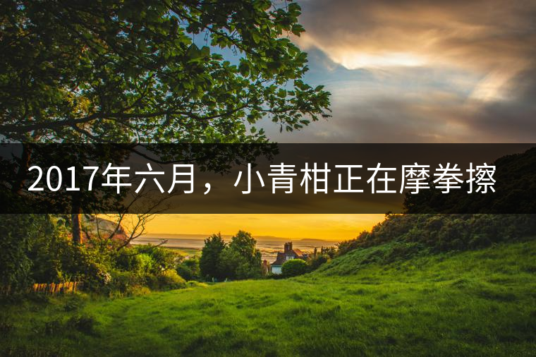 2017年六月，小青柑正在摩拳擦掌