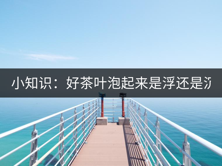 小知識：好茶葉泡起來是浮還是沉？