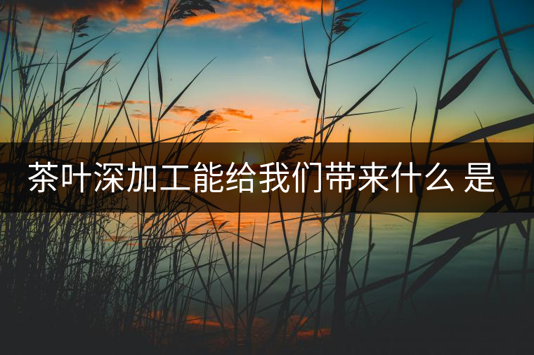 茶葉深加工能給我們帶來(lái)什么 是利還是弊呢？