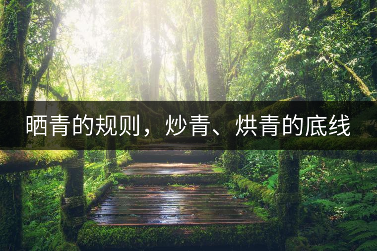 曬青的規(guī)則，炒青、烘青的底線