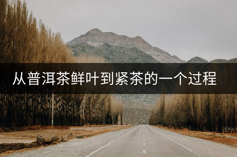 從普洱茶鮮葉到緊茶的一個(gè)過(guò)程介紹 從普洱茶鮮葉到緊茶的一個(gè)過(guò)程介紹