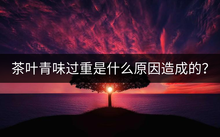 茶葉青味過(guò)重是什么原因造成的？