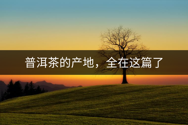 普洱茶的產地，全在這篇了