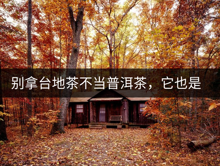 別拿臺地茶不當普洱茶，它也是大葉種喬木