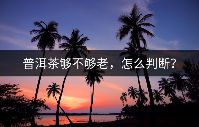 普洱茶夠不夠老，怎么判斷？