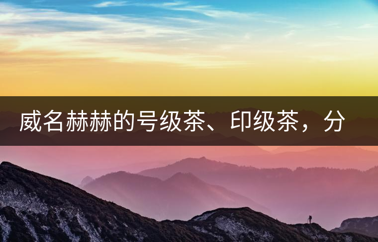 威名赫赫的號級茶、印級茶，分別是些什么普洱茶？