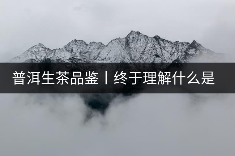 普洱生茶品鑒丨終于理解什么是“醇厚、耐泡，回甘”了