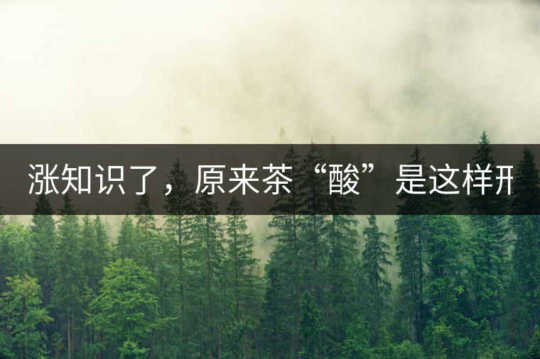 漲知識(shí)了，原來(lái)茶“酸”是這樣形成的！