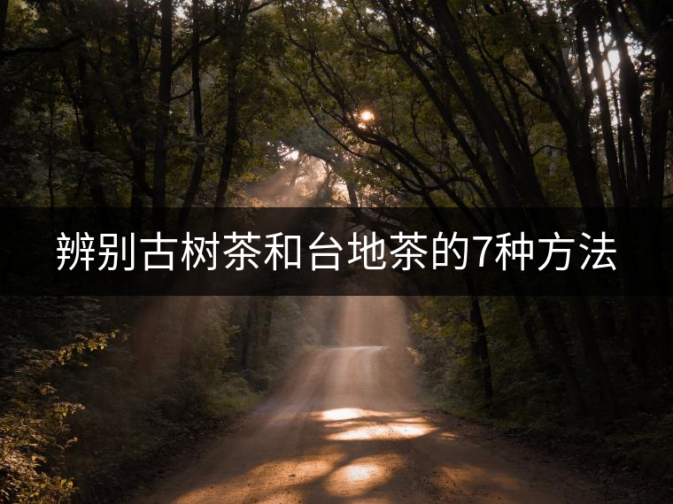 辨別古樹(shù)茶和臺(tái)地茶的7種方法 辨別古樹(shù)茶和臺(tái)地茶的7種方法