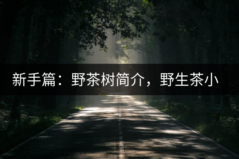 新手篇：野茶樹簡介，野生茶小知識