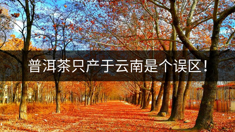 普洱茶只產(chǎn)于云南是個(gè)誤區(qū)！