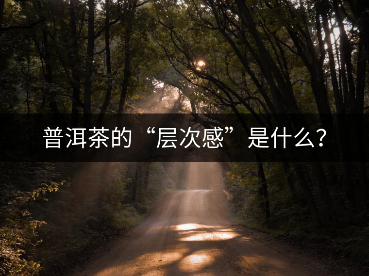 普洱茶的“層次感”是什么？