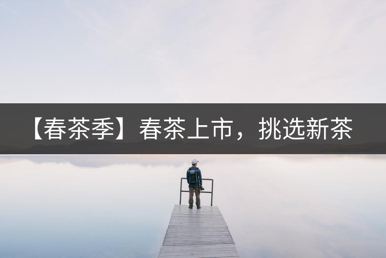 【春茶季】春茶上市，挑選新茶有講究