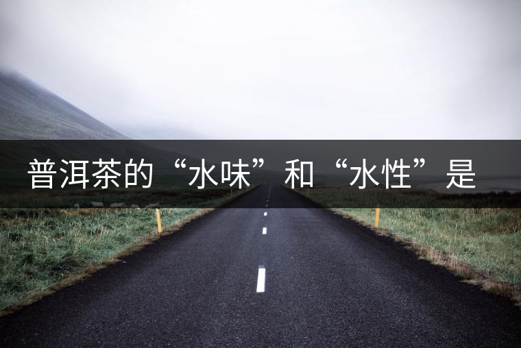 普洱茶的“水味”和“水性”是一種東西還是兩種東西？