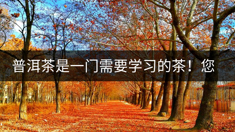 普洱茶是一門需要學(xué)習(xí)的茶！您學(xué)到了多少？看看專家怎么說(shuō)