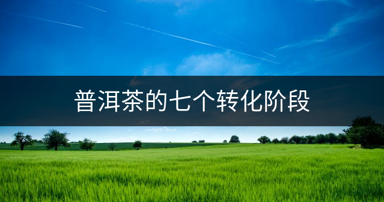 普洱茶的七個(gè)轉(zhuǎn)化階段 普洱茶的七個(gè)轉(zhuǎn)化階段