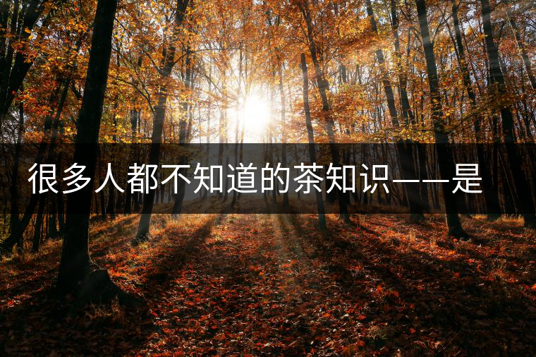 很多人都不知道的茶知識——是什么造就了普洱茶的一山一味？