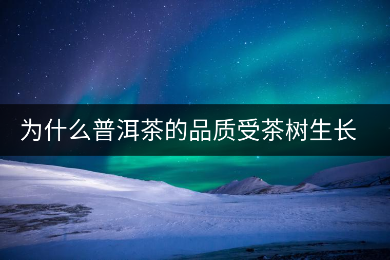 為什么普洱茶的品質(zhì)受茶樹(shù)生長(zhǎng)環(huán)境的影響？