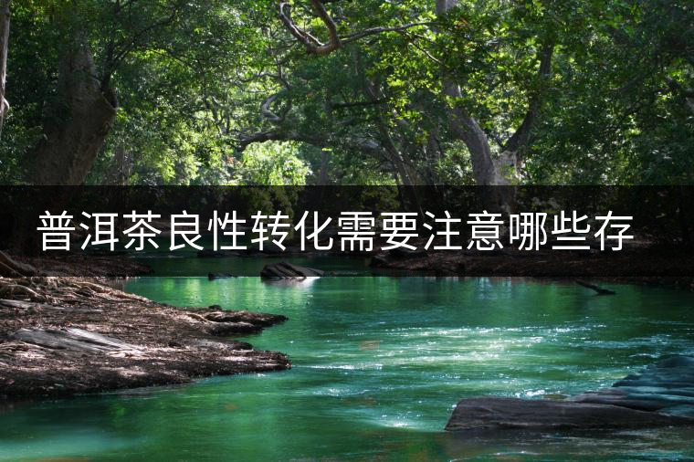 普洱茶良性轉(zhuǎn)化需要注意哪些存放問題？