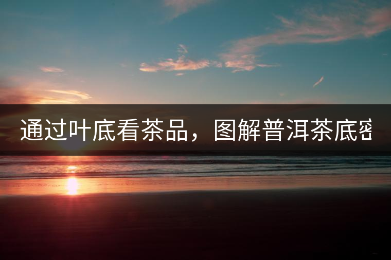 通過(guò)葉底看茶品，圖解普洱茶底密碼！