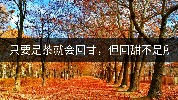只要是茶就會(huì)回甘，但回甜不是所有茶都有！