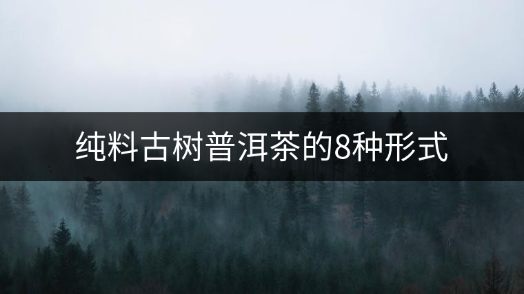 純料古樹(shù)普洱茶的8種形式