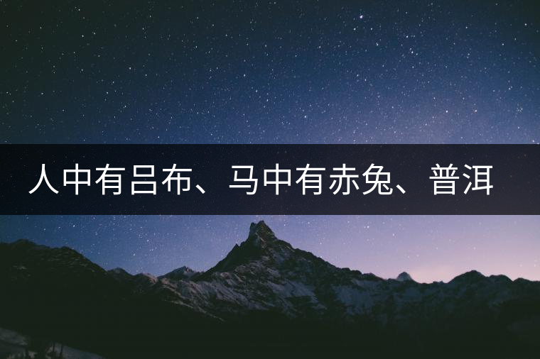 人中有呂布、馬中有赤兔、普洱中有茶化石：碎銀子！