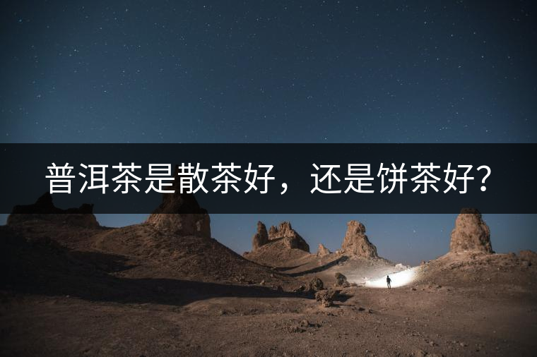 普洱茶是散茶好，還是餅茶好？