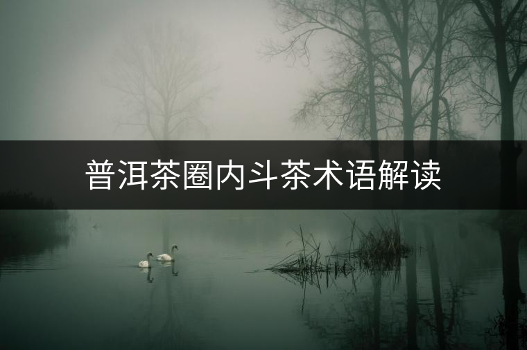 普洱茶圈內(nèi)斗茶術(shù)語(yǔ)解讀 普洱茶圈內(nèi)斗茶術(shù)語(yǔ)解讀
