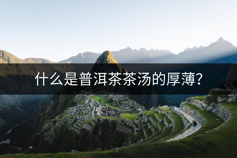 什么是普洱茶茶湯的厚薄？