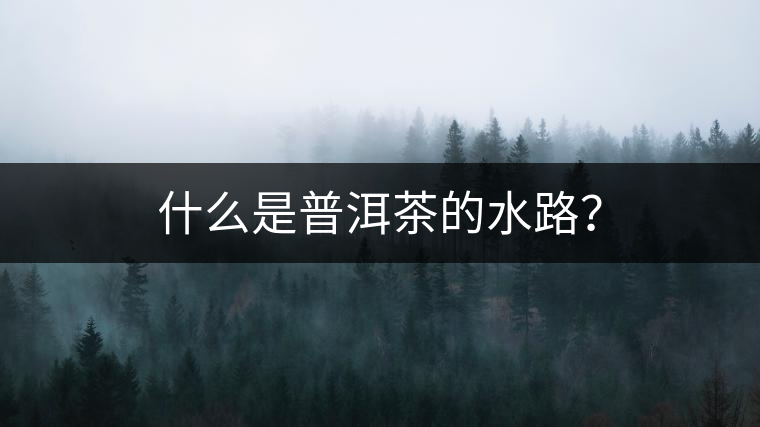 什么是普洱茶的水路？