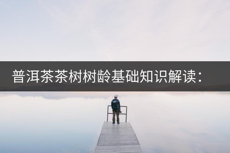 普洱茶茶樹樹齡基礎(chǔ)知識解讀：多大樹齡的茶才算古樹茶？