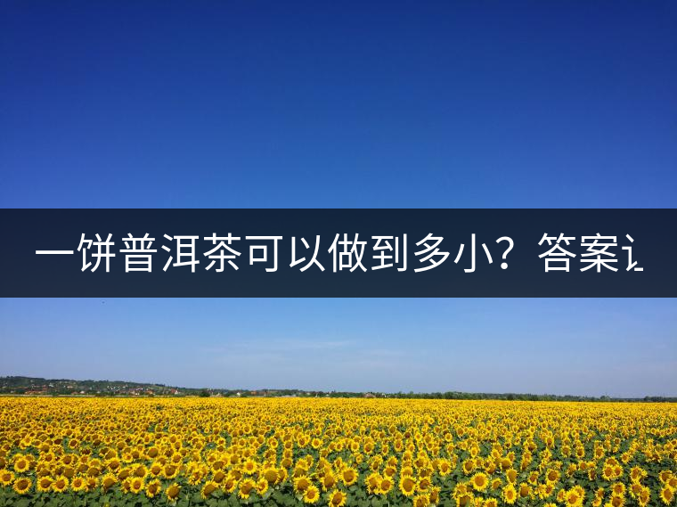 一餅普洱茶可以做到多??？答案讓人意想不到...