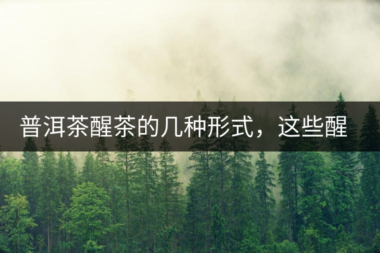 普洱茶醒茶的幾種形式，這些醒茶方法你都會(huì)了嗎？