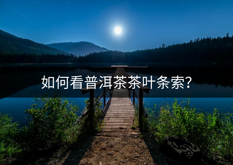 如何看普洱茶茶葉條索？