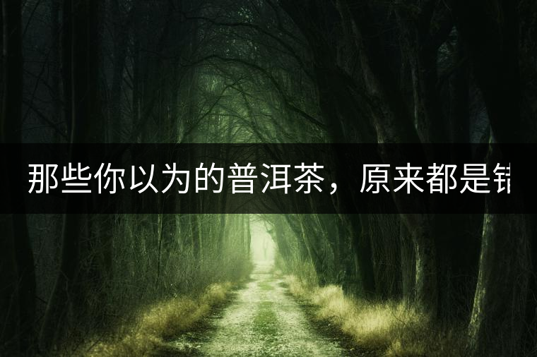 那些你以為的普洱茶，原來都是錯的！