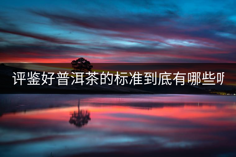 評鑒好普洱茶的標準到底有哪些呢?