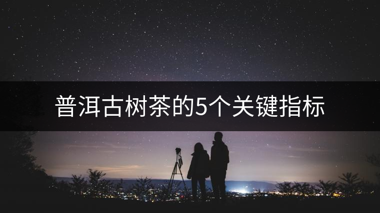 普洱古樹茶的5個關(guān)鍵指標(biāo) 普洱古樹茶的5個關(guān)鍵指標(biāo)