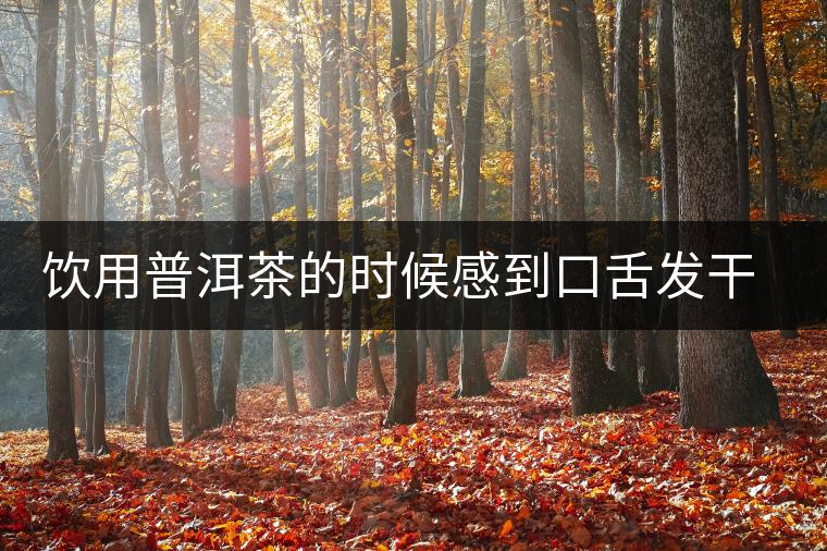 飲用普洱茶的時候感到口舌發(fā)干怎么辦? 飲用普洱茶的時候感到口舌發(fā)干怎么辦?