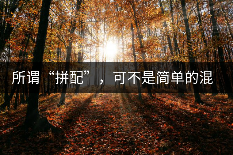 所謂“拼配”,可不是簡(jiǎn)單的混搭 所謂“拼配”,可不是簡(jiǎn)單的混搭