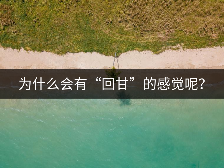 為什么會有“回甘”的感覺呢？
